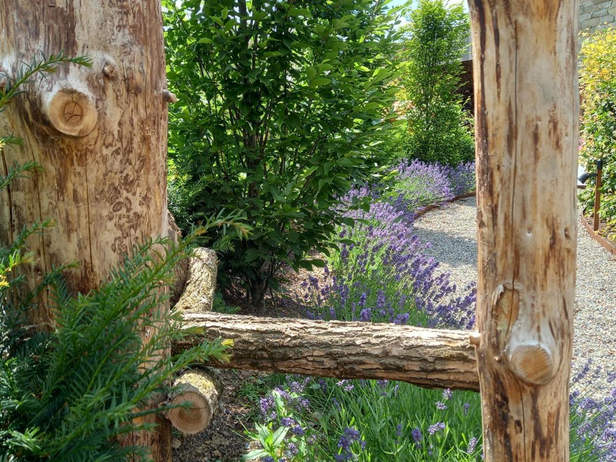 Le Jardin Des Fagnes Villa Робервил Екстериор снимка