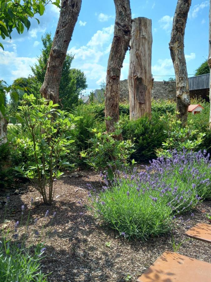 Le Jardin Des Fagnes Villa Робервил Екстериор снимка
